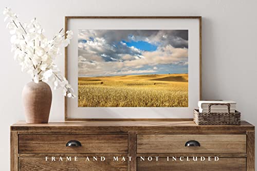 Снимка в стил Кънтри, Принт (без рамка), Изображението Златни терасни царевични полета спокоен и под небе късно следобед в една ферма в Айова, Стенно изкуство, декор?