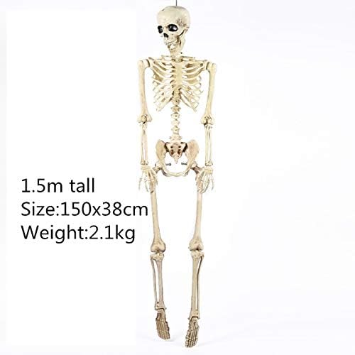 Cozylkx Украса За Хелоуин Кладбищенский Подпори Скелет Костите На Черепа Човешки Размер, В Пълен Размер
