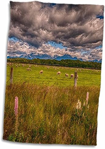 3дрозовые овце по Фьордленде, Тези-Анау, Нова Зеландия - Кърпи (twl-226476-3)