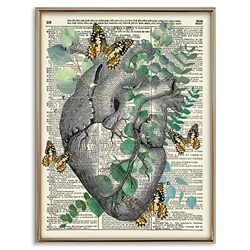 Анатомия с эвкалиптом и пеперуди, Ретро Арт Принт с речника, Съвременно Монтиране на изкуството За домашен интериор,