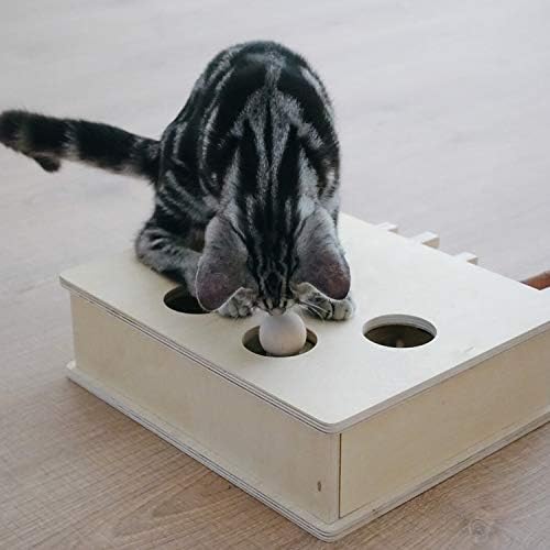 Интерактивна играчка Manfer Friends Forever Cat за котки с Автоматично Обучението на Улов