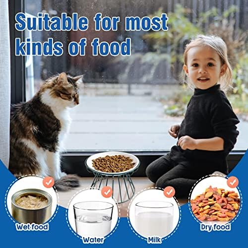 Повдигната купичка за котешки храна, Стилна Керамична купа за кучета със здрава желязна поставка - Въодушевен хранене за