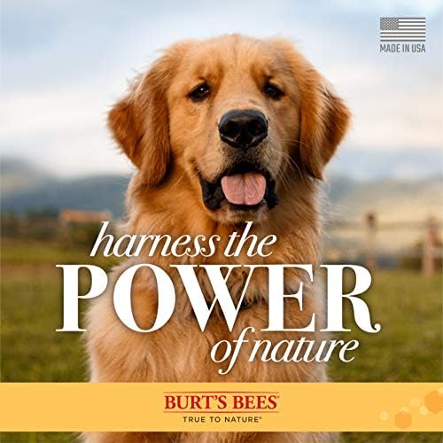 Бърт Bees за Кучета от Натурални Овесени шампоан с Колоидно овесено брашно и Мед | Oatmeal Dog Shampoo, 4