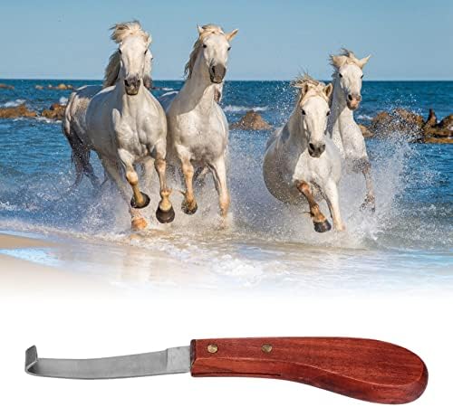 Нож за подрязване на копитата на кон, Стригане за изграждане на копитата на кон, Ножици За подрязване на