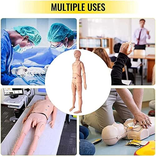 Анатомическая Човешки модел-Манекен на медицинските Сестри, за Обучение на ученици от училище за сестрински