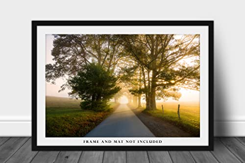 Етеричните фотография, Принт (без рамка), Картина на пътя, водещ през дърветата, в Мъгла Слънчева светлина в Cades Cove