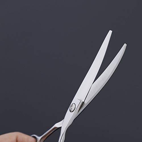 Jiabei 6-инчов Професионални Фризьорски ножици, Ножици за домашни любимци, Ножица за Подстригване на коса (Цвят: Сребрист)