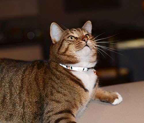Отразяваща нашийник за котки Rogz, с окачени клипсой и подвижна камбана, напълно регулируеми за повечето породи, дизайн