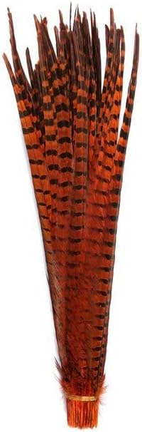 50-55 см 20-22 инча; Пера от опашката на фазан с пръстен около врата си, за да Работи, Черни, Бели, Естествени