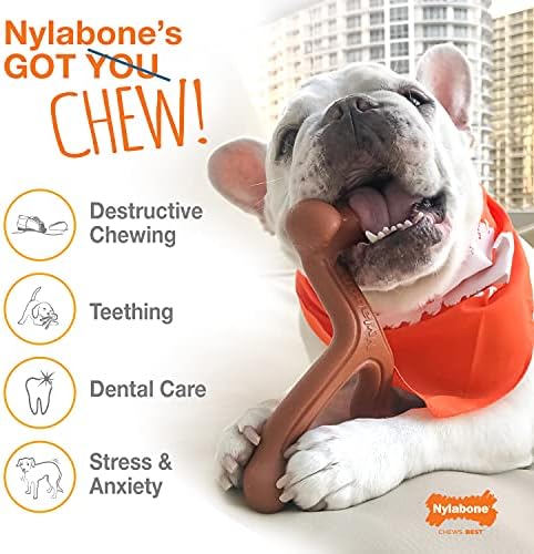 Nylabone Flavor Frenzy Power Дъвчене играчка за кучета Филаделфия Cheesesteak Малък / Обикновен (1 брой)