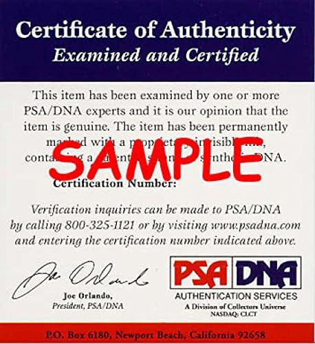 Ел Фанинг PSA DNA Coa Автограф с автограф от ръката на 11x14