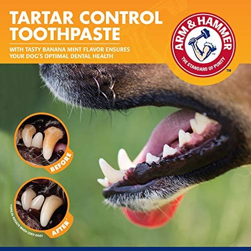 Набор за борба с зубным камък за домашни любимци Arm & Hammer for за кучета | Съдържа паста за зъби, четка за