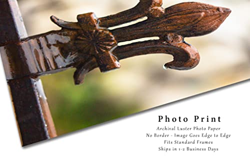 НОЛА Photography Принт (без рамка) Вертикално изображение на жп Лилии с капки дъжд в ню Орлиънс, Луизиана, Френския