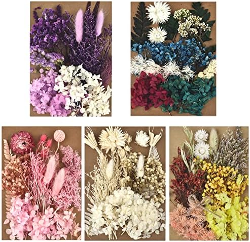 ДАЛАРАН 5 Опаковки Сухоцветов за Производство на Свещи САМ Пресовани сухи цветя Няколко Пресовани Естествени