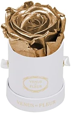 Venus et Le Fleur Mini Round Single - Запазена Оригинална роза в кутия - Тези рози, които продължават година -