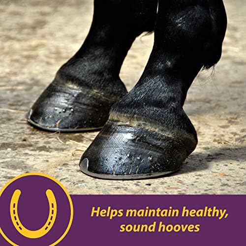 Добавка за копита на коне Horse Health Vita Biotin Раздадена, помага за поддържане на здрави, яки копита и на стената на