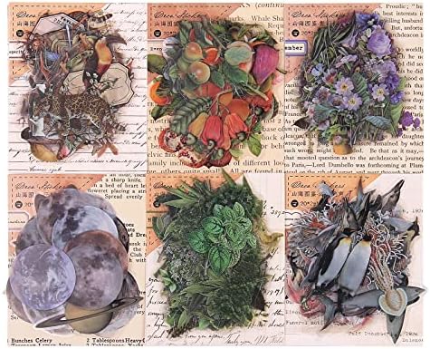 Прозрачни Стикери на тема природа НОГАМОГА за scrapbooking, опаковка 240 парчета, Флора и Фауна, годината на