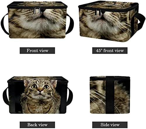 Чанта за доставка на Храна за американската Короткошерстной Котки, Изолирано Чанта за продукти | Двойна светкавица