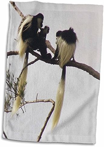 Салфетки 3dRose Florene Animals - Baby Прави от три кърпи (twl-7443-1)