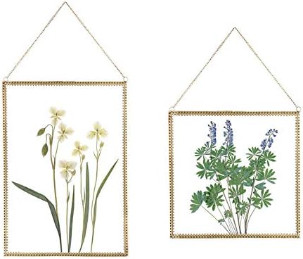 Стъклена рамка Yolmina за сгъстен цвете - 2 комплекта, Стенен Декор за Снимки, Латунная рамка за проби от растения