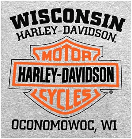 Мъжки Пуловер Harley-Davidson, Hoody Bar & Щит, Сив 30296627