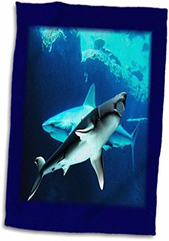 Кърпа 3D Rose Underwater Акули TWL_39023_1, 15 x 22, Бяло