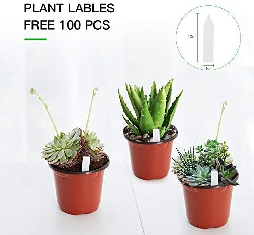 6-инчови пластмасови саксии за отглеждане на растения JERIA 100 в опаковка Идват със 100 етикети за растения, контейнер