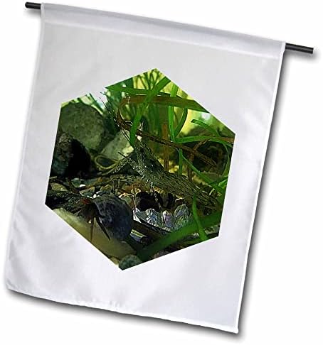 3dRose 2022 Дилън Сейболд - Фотография - Снимки на аквариумни скариди - Знамена (fl_359013_2)