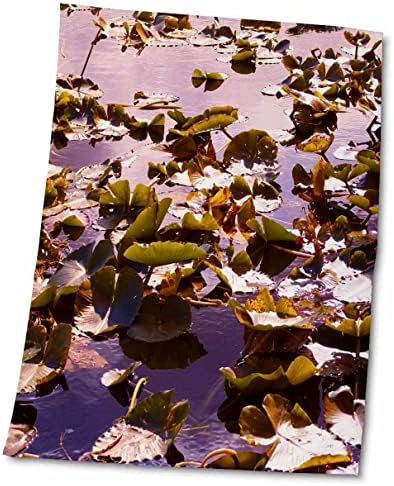 Кърпи 3dRose Florene Семейството на Водни лилии (twl-11450-1)