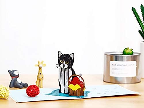 Liif Вязаный Коте 3D Поздравителна Картичка С Котка във ВСИЧКИ Случаи На Живота си е Забавна Картичка За Рожден Ден, пощенска