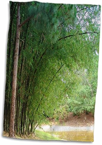 Кърпи 3dRose Florene Nature n Animals - Bamboo forest - twl-18605-1)