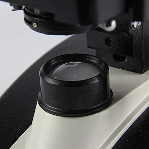 Професионален Лабораторен Микроскоп YEZIMK Microscopio, Бинокъла Биологичен Микроскоп X-S-P136E, Съставен Микроскоп