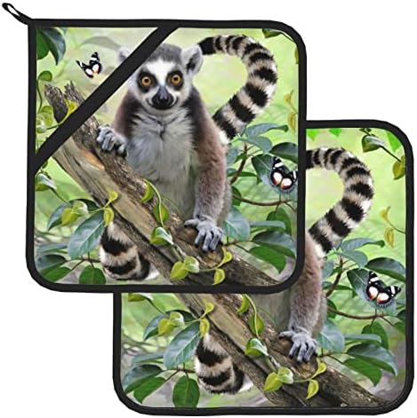 Квадратна Изолирано Поставка за пържене Lemur с Кольцевидными опашки -8х8 инча (от две части) е Дебела, Термостойкая
