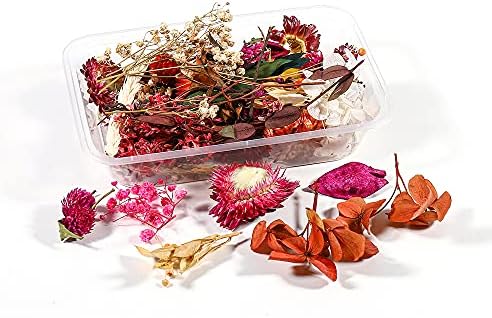 1 Кутия Истински Сухи Цветя форми от смола, пълнители, UV-Экспокси-цветове, форми от Епоксидна смола, Бижута, Занаяти, Аксесоари
