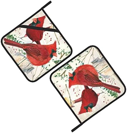 Огнеупорни Нескользящий титуляр за тенджери Red Birds, професионални ръкавици за готвене във фурна, печене и печене