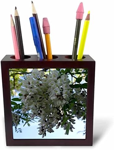 3D-Държачи за химикалки с участието на великолепния бяло цвете айланта (ph-370934-1)