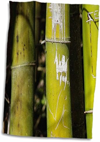 Кърпи 3dRose Florene Nature - Bamboo Art - (twl-7711-1)
