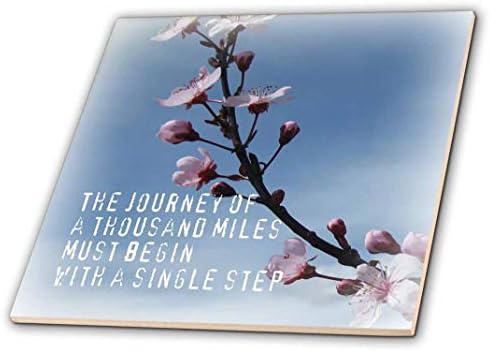 3dRose ct_30902_1 Вдъхновяващи цветя Череши Journey Дзен Cherry Blossom-теракот, 4 инча, Многоцветен